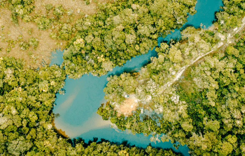 Projeto Santa Amélia: Preservação do Cerrado e a Geração de Créditos Socioambientais