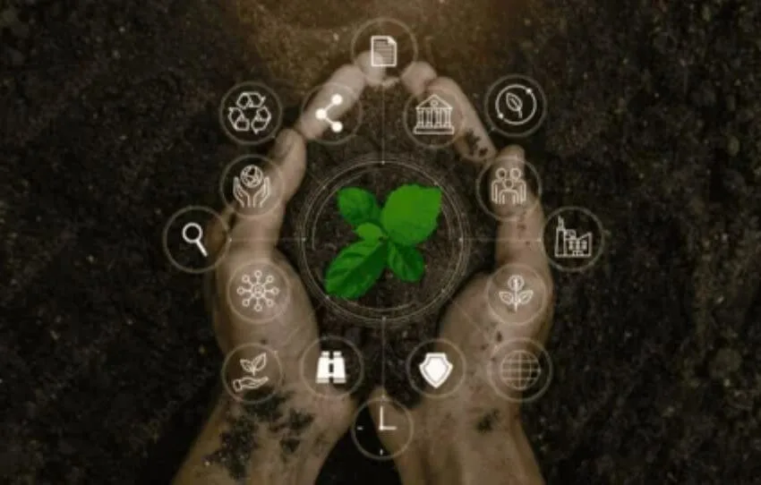 A Análise do Ciclo de Vida (LCA) do Produto como Estratégia Sustentável