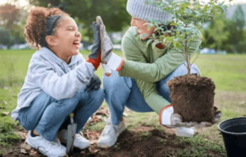 O que é o ESG? Como foi criado o ESG? Por que a necessidade da criação do ESG?