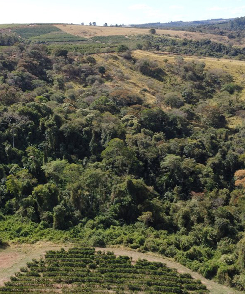 Imagem Projeto Rio Mamiá