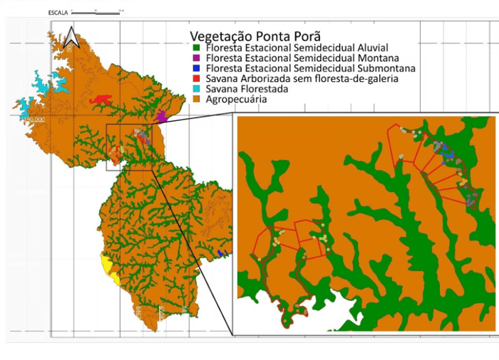 Vegetação de Ponta Porã